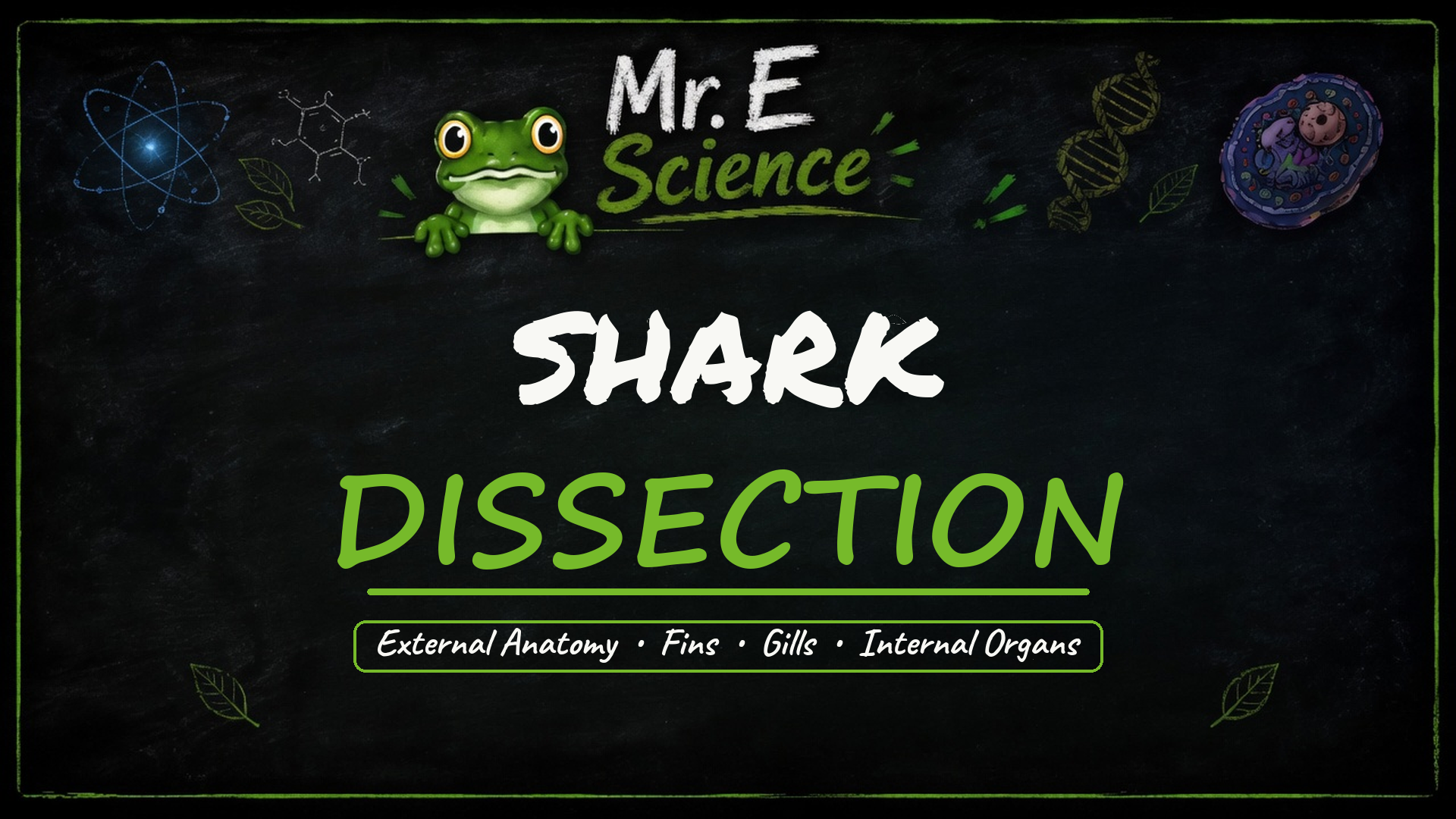 Shark Dissection title card